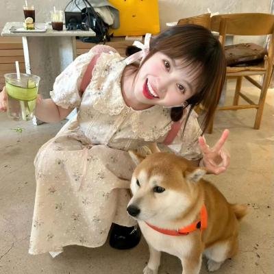 活死喵之夜